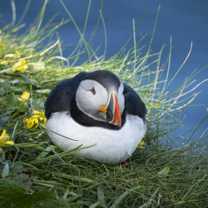 Isle of Mull photo workshop